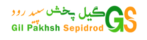لوگو